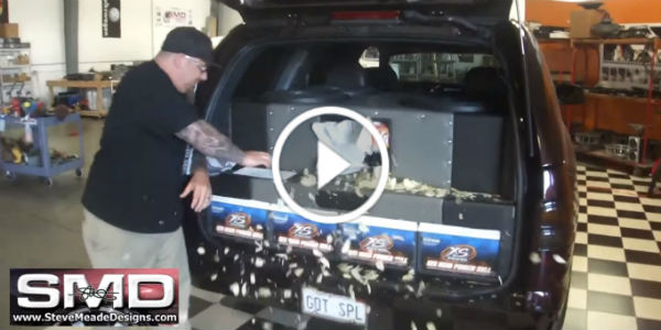 bass system bass trick chips 4