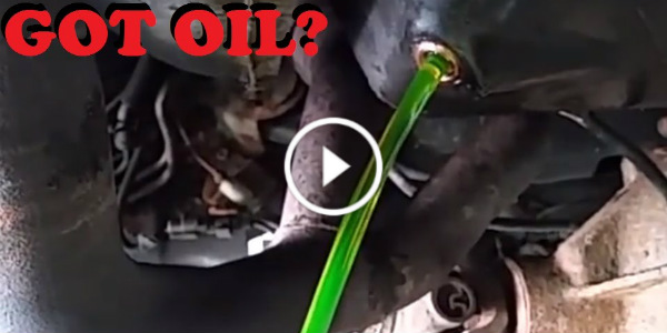 Coolant Problem Mixed With Engine Oil green 31