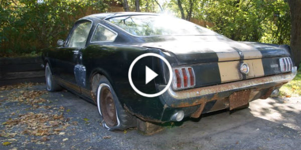 Barn Find 1966 Shelby GT350H Mustang 31