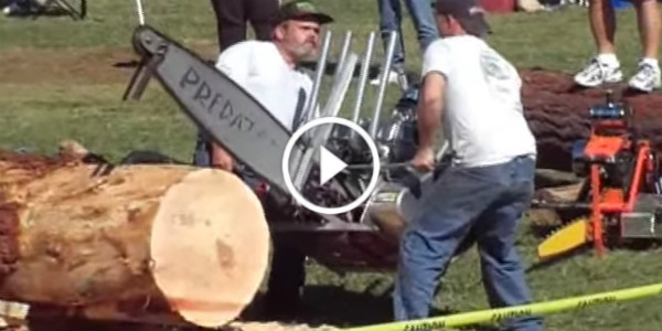 PREDATOR Powerful Chainsaw V8 Engine 21