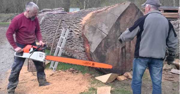 Powerful Stihl MS 880 Magnum Chainsaw Vs Massive Oak Log 4
