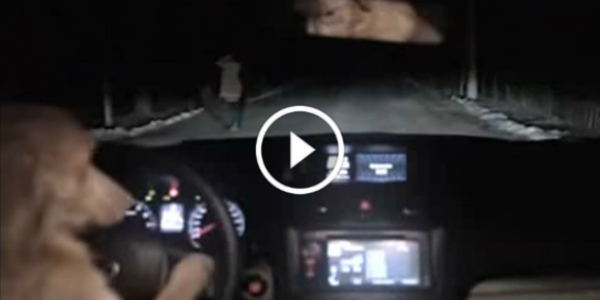 Troll Dog Subaru Car Commercial Prank playing Dead 31