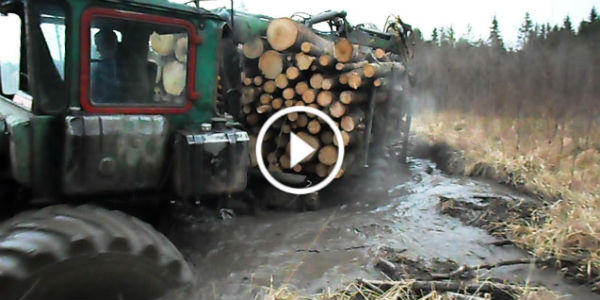 Homemade Forwarder 1 TN