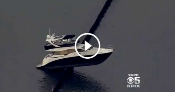 1 7 Million Dollar Yacht Harbor Crash 1 TN