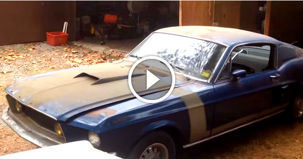 Mustang Barn Finds 1968 Ford Mustang 200 428 Cobra Jet 2 TN