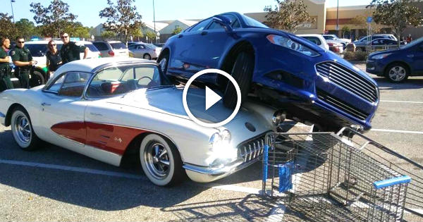 1959 Chevrolet Corvette Ford Fusion 1 TN