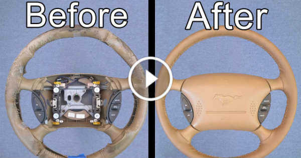 Brand-New-Steering-Wheel-1-TN