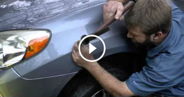 Extreme Dent Removal 3 TN