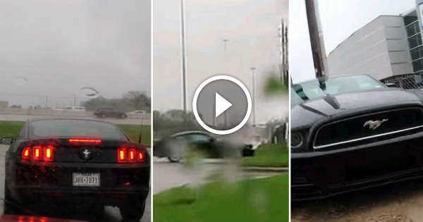 Ford Mustang Crash Near A Lamborghini Dealership