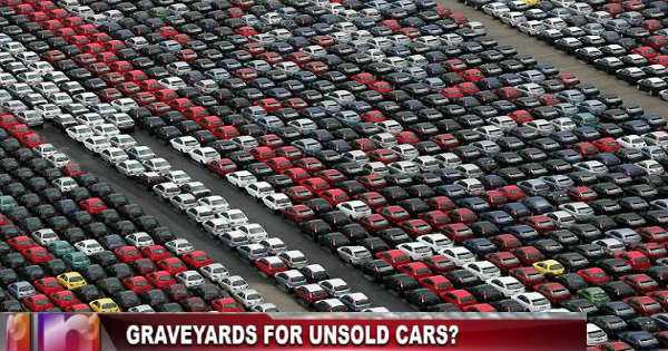 Huge Unsold Car Graveyards 6