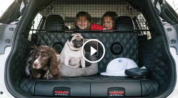 Nissan X Trail 4Dogs