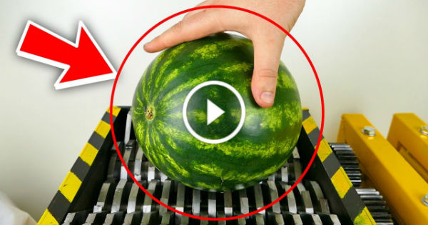 Organic Waste Shredder Watermelon 1 TN