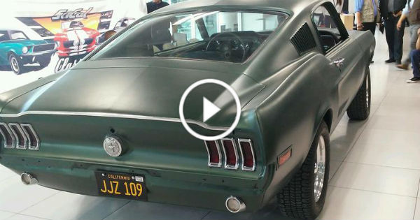 Steve McQueen Lost Bullitt Mustang Car 3 TN
