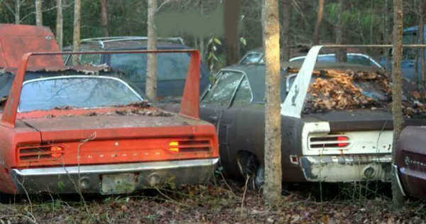TWO 70 PLYMOUTH SUPERBIRD CARS 2