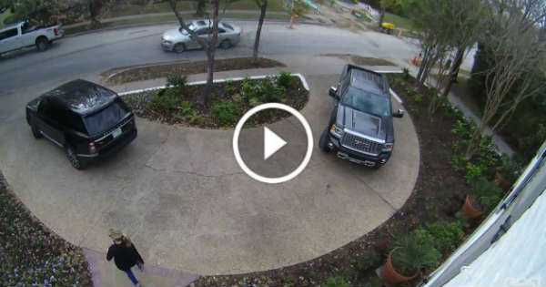 Construction Workers Catch Thieves In Courageous Act 2