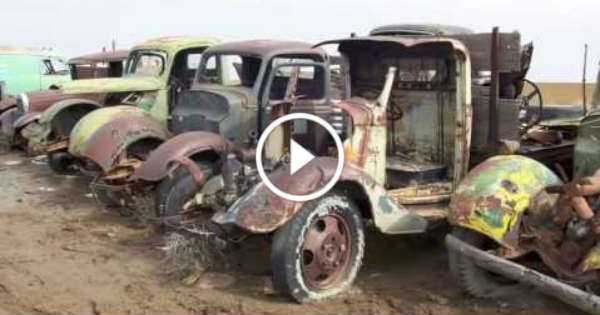 Idaho Junkyard 8000 Cars GEM 1 TN