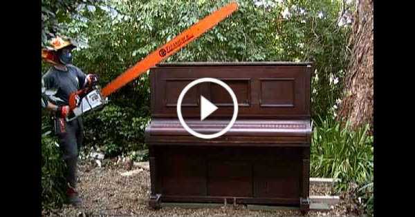 Piano Cut Half Giant Chainsaw 1 TN