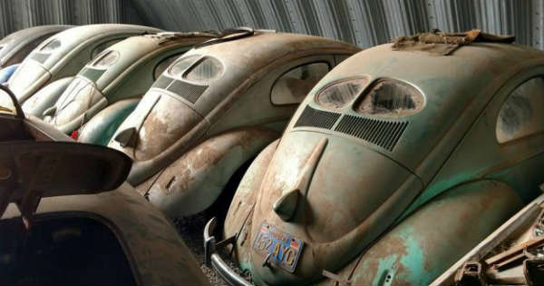 Priceless VW Collection BMW Beetle Porsche BMW 11