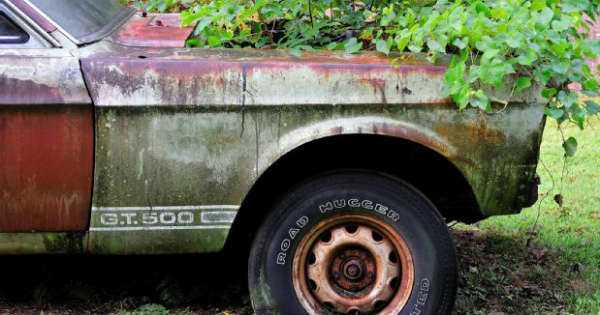 Racecar 1967 Mustang Shelby GT500 11