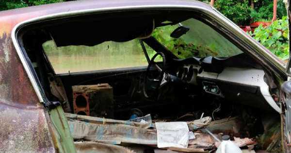 Racecar 1967 Mustang Shelby GT500 22