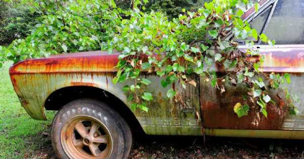 Racecar 1967 Mustang Shelby GT500 44