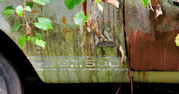 Racecar 1967 Mustang Shelby GT500 55