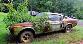 Racecar 1967 Mustang Shelby GT500 66