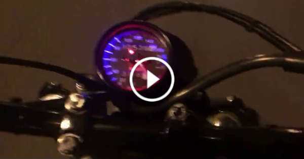 Chinese Speedo From AliExpress 1 TN