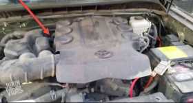 Hilarious Toyota FJ Cruiser Whining Noise 2