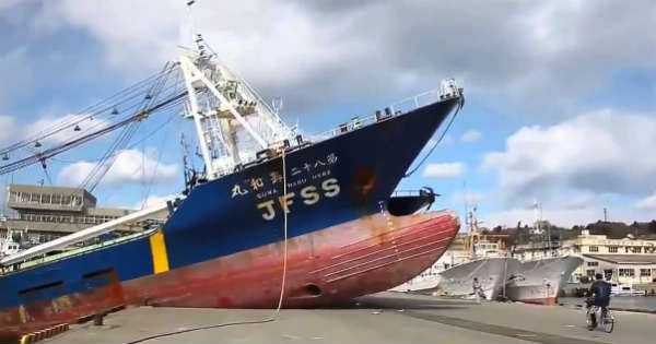 Various Ship Crashes Around The World 2