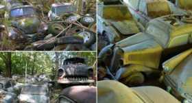 -1500 Classic Cars Switzerland Greatest Vintage Car Graveyard 8
