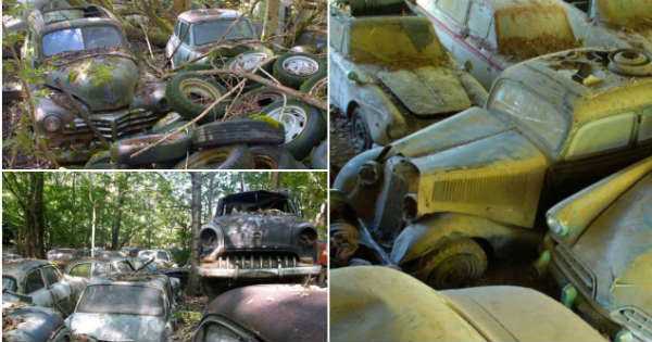 -1500 Classic Cars Switzerland Greatest Vintage Car Graveyard 8