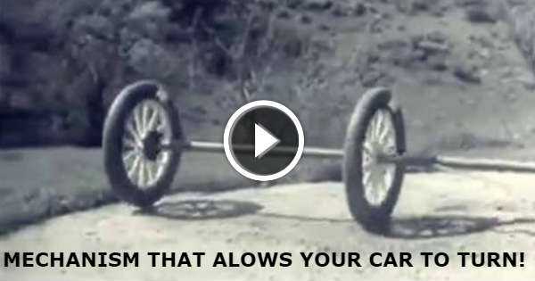 AMAZING Mechanism We Would NOT Have Had CARS differential 4