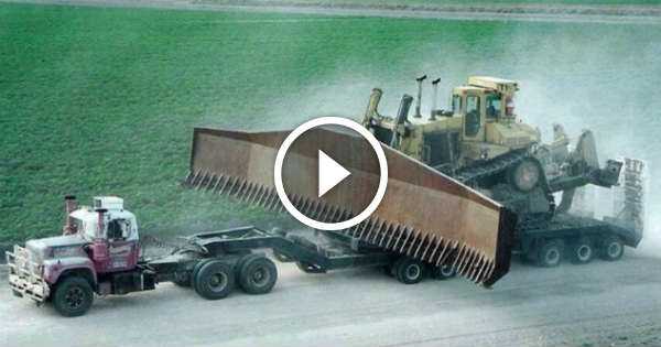 Bulldozer & Trucks Win vs fail