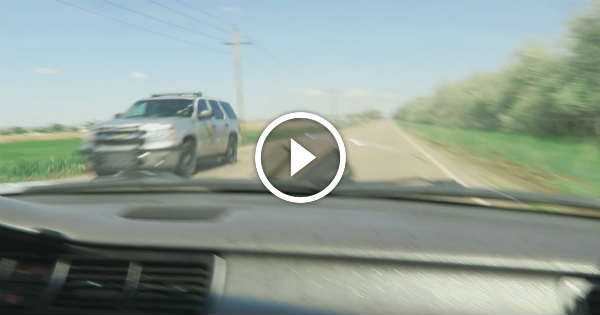 Turbo Honda Civic Speeds Past Cop With 140mph 2