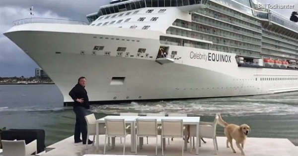 Cruise Ship Causes Chaos Crashes 6