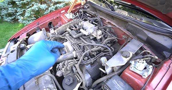 Have A Super Clean Engine Bay 2_1