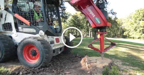 How It Works The Extreme Tree Stump Removal 3