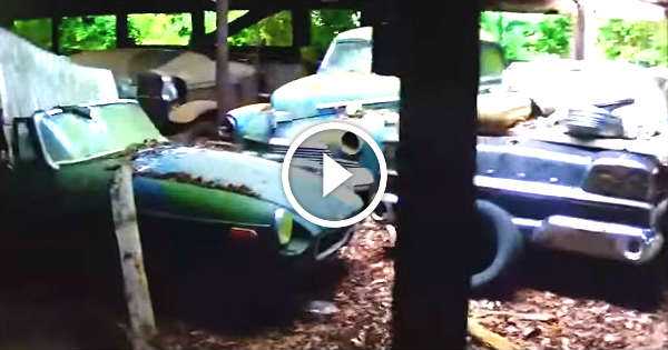 Most Surprising Car Barn Finds Recorded 4