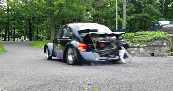 Typical VW Beetle different modified 2