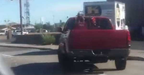 ULTIMATE Prank horn Brake 4