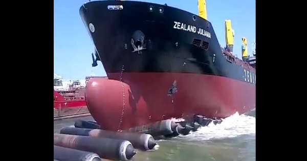 zealand shipping cargo ship 4