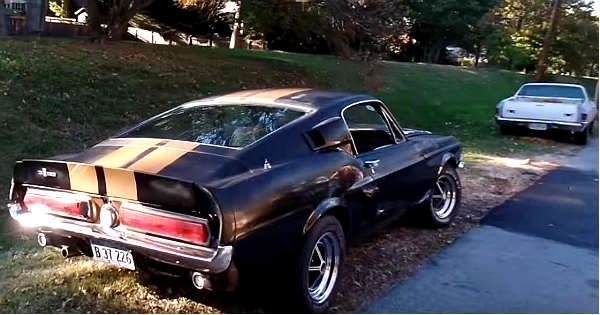 1967 Mustang Shelby roars once AGAIN 3