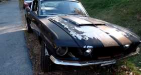 1967 Mustang Shelby roars once AGAIN 4