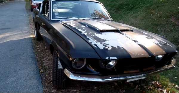 1967 Mustang Shelby roars once AGAIN 4