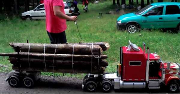 Mini Peterbilt Truck Remote Control RC wood transport 2