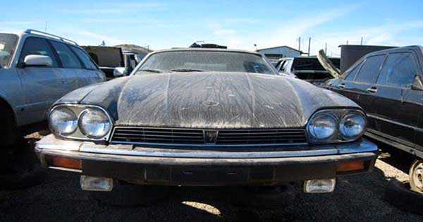 Ruined Vintage Barn Finds 2