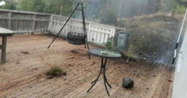 Epic Lightning Strike Destroys Backyard 1