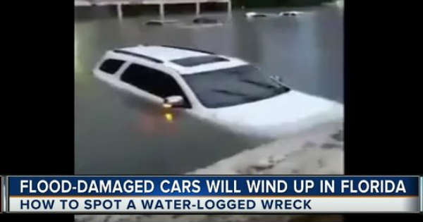 Flood Cars Sold Without Label hurricane Harvey Irma 2