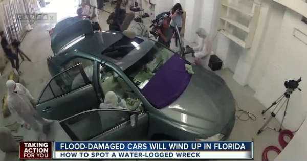 Flood Cars Sold Without Label hurricane Harvey Irma 3